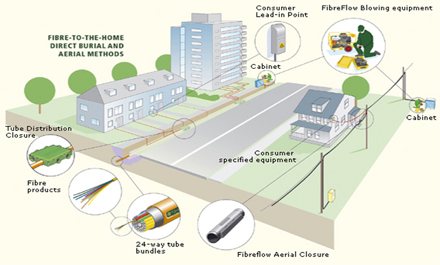 Fiber optic backbone 1